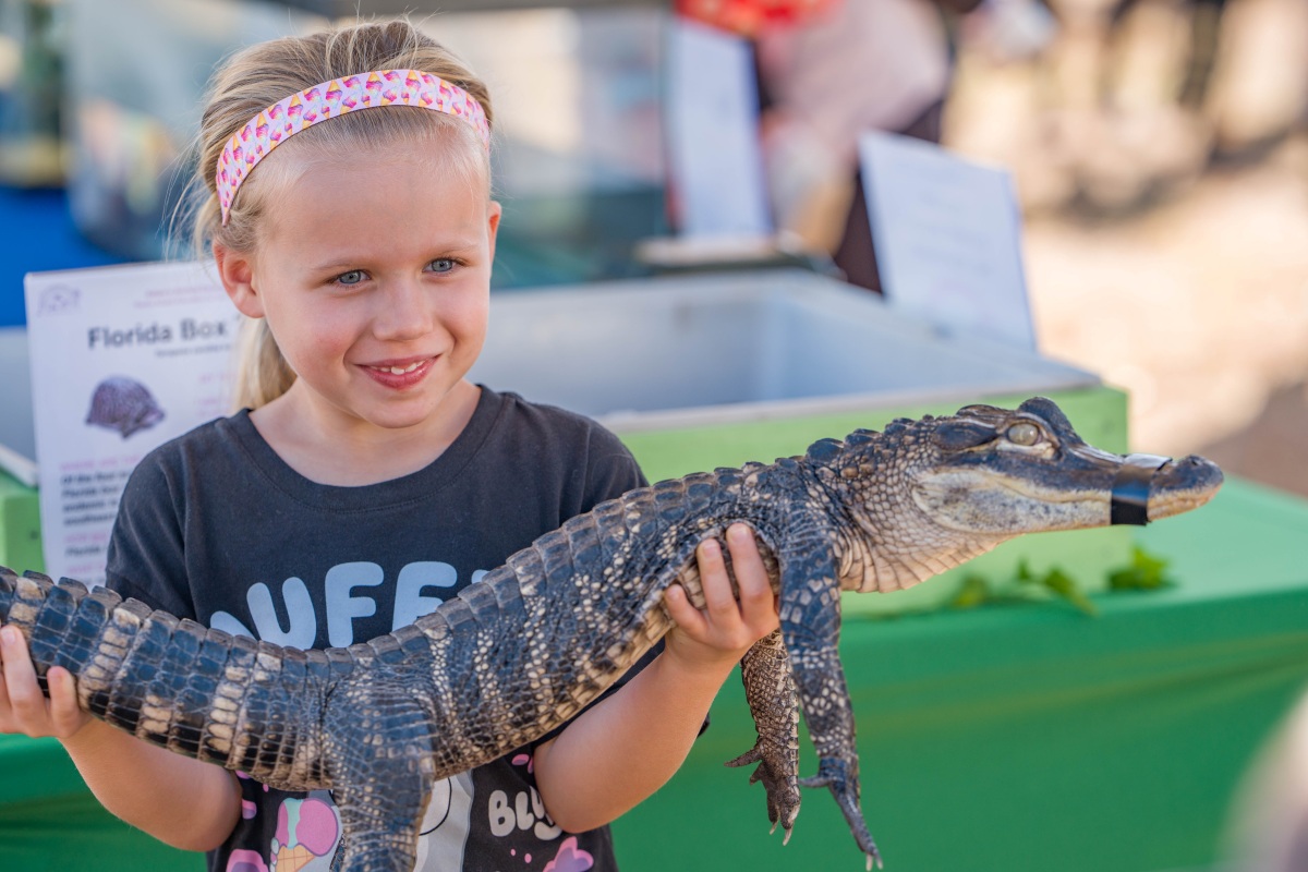 A smiling young girl holds a baby alligator with its snout taped shut at a Waterways Festival wildlife booth.